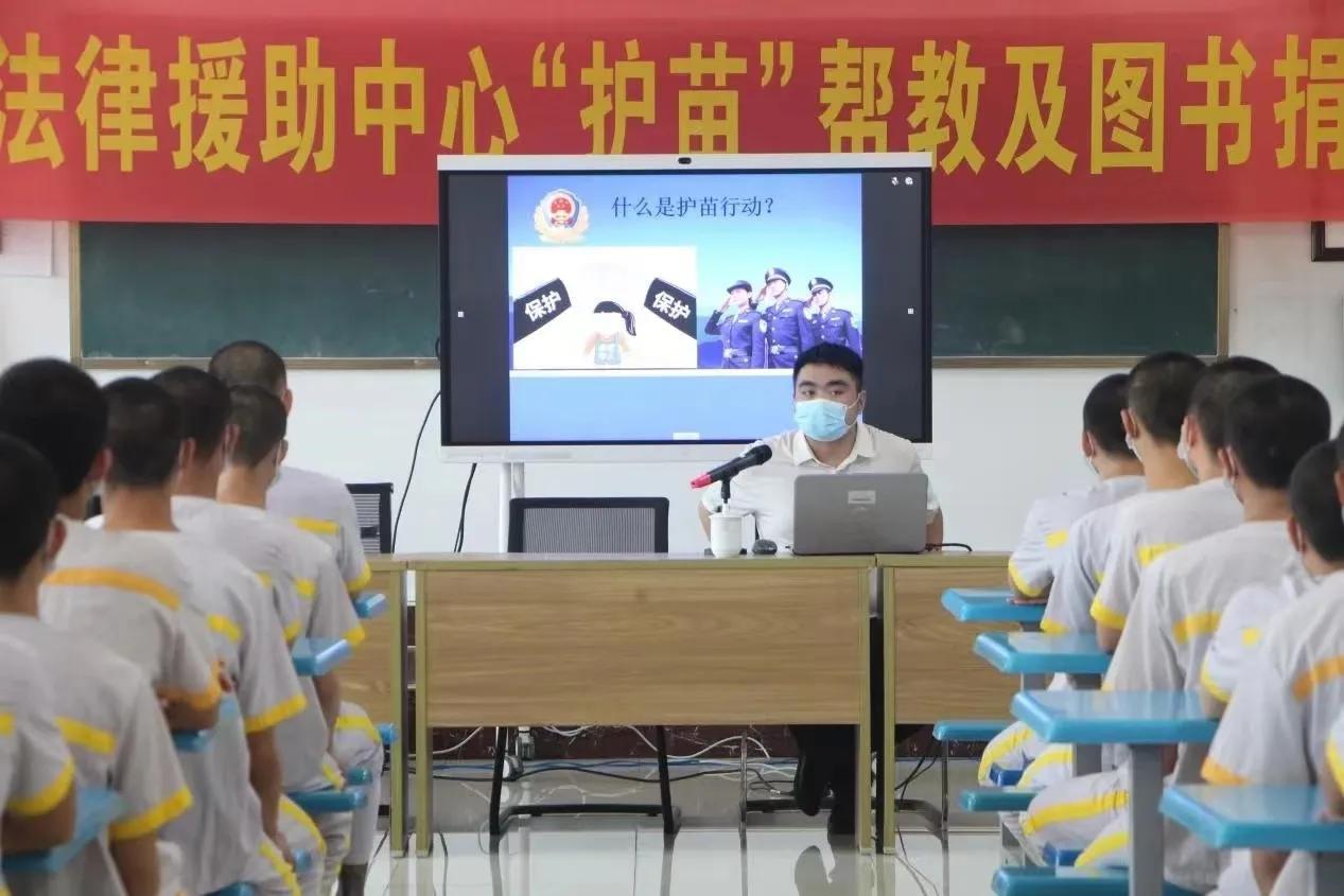 最新假釋條文詳解，理解與應(yīng)用指南