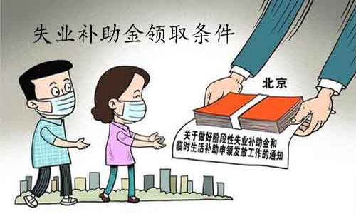 失業(yè)補(bǔ)助最新政策解析，影響與展望，觀點(diǎn)闡述