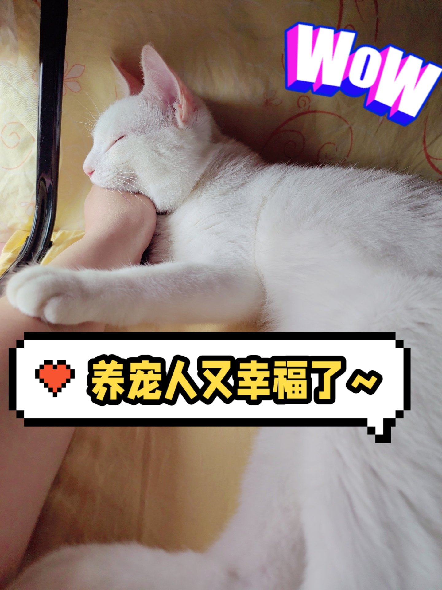 寵入最新，自然美景探索之旅鼓舞人心啟程