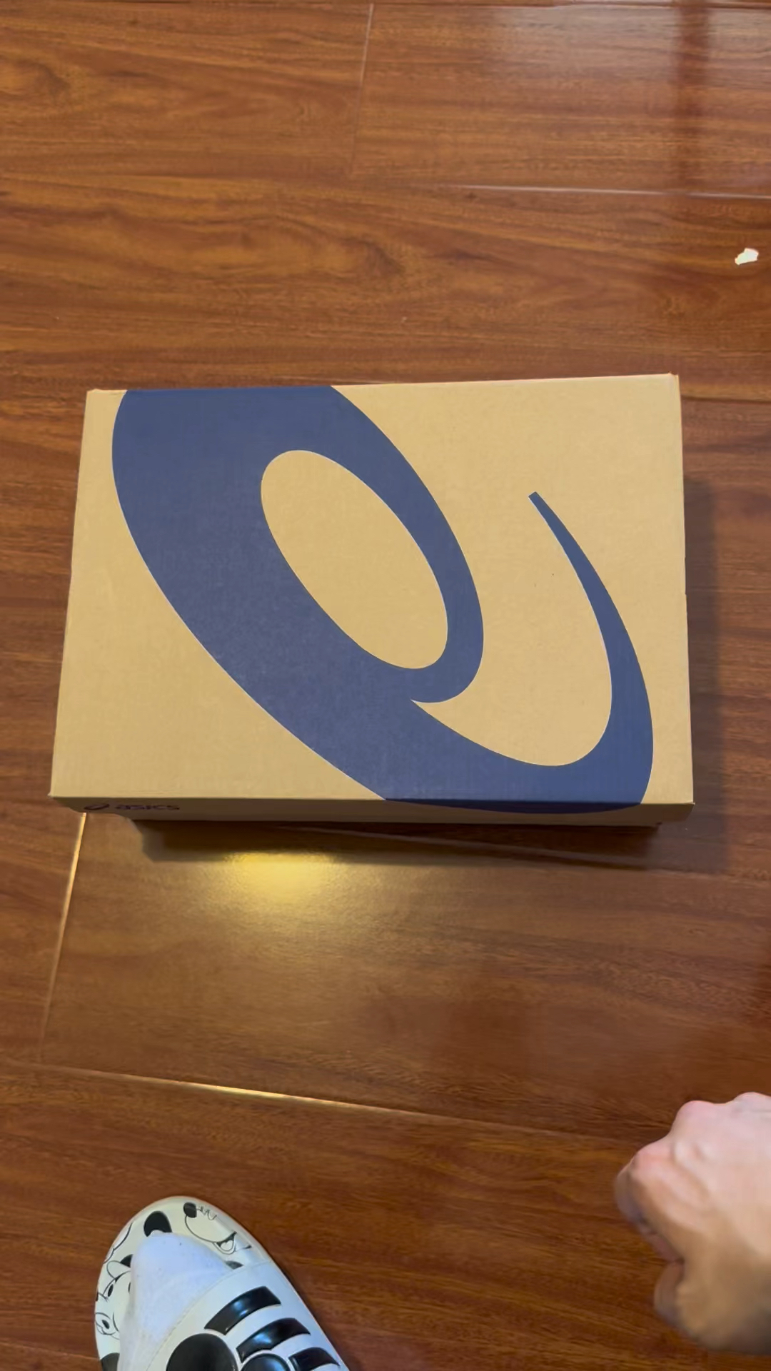 最新鞋開箱,最新鞋開箱，時(shí)尚巨輪的新航跡