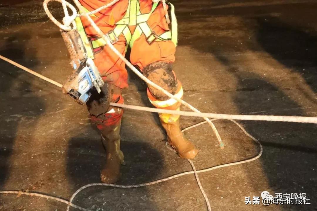 西寧事件最新進(jìn)展及巷弄深處獨(dú)特小店探秘