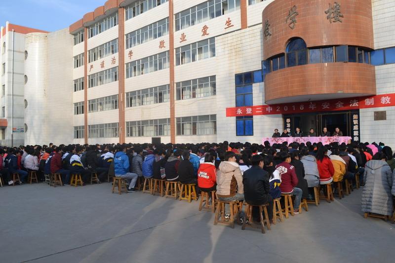 樹屏最新動(dòng)態(tài)，驚艷你的視界！