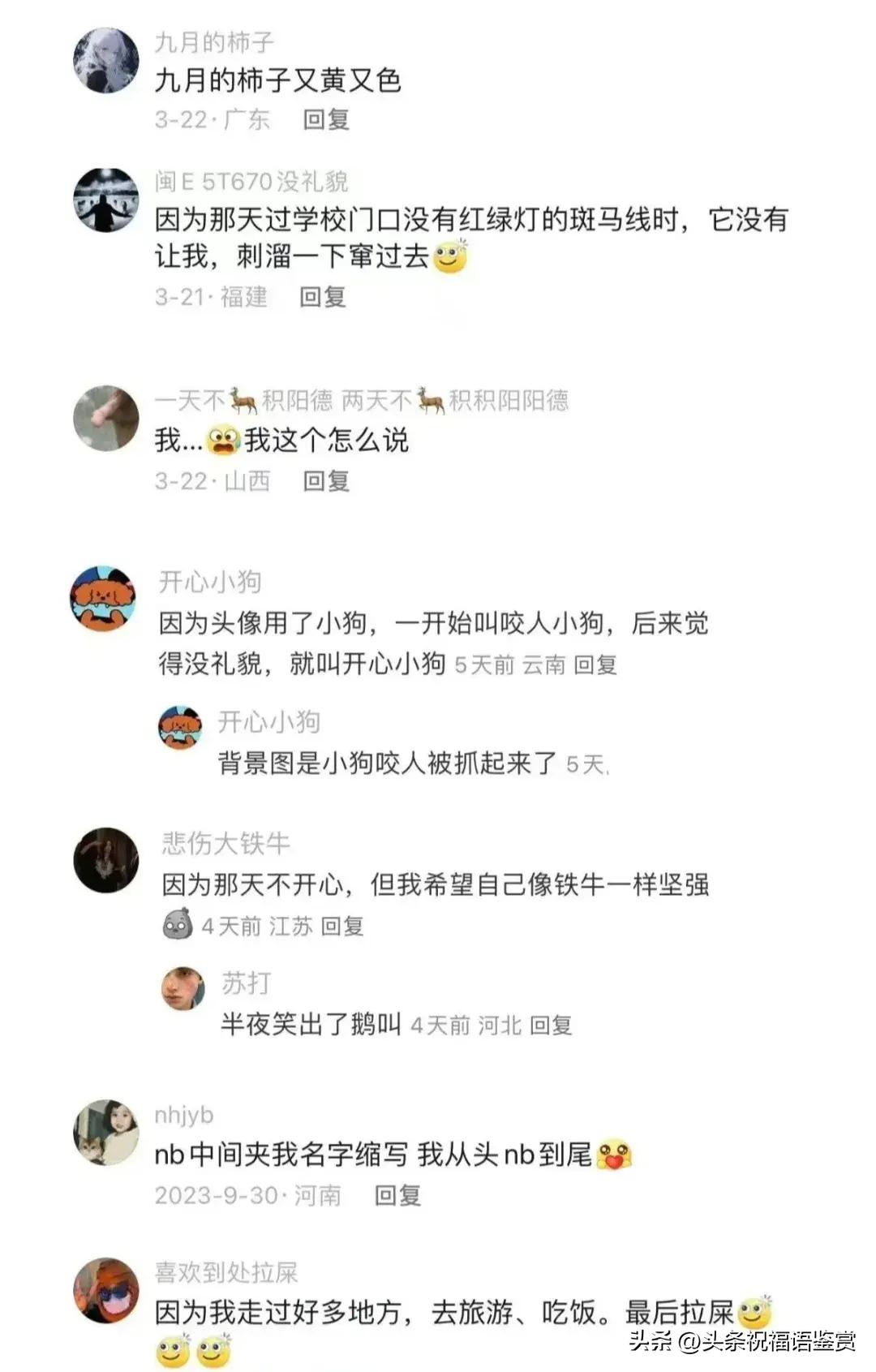 今日最新網(wǎng)名，開啟溫馨有趣的網(wǎng)絡冒險之旅
