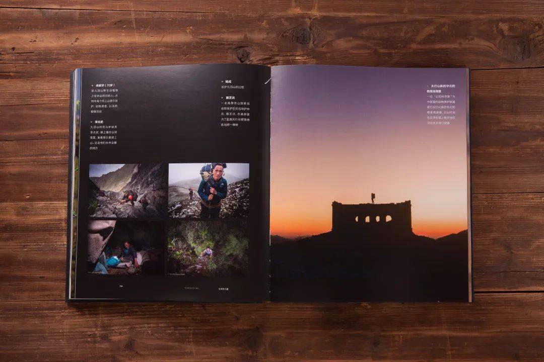 探索自然美景的輕松之旅，最新野畫冊一覽