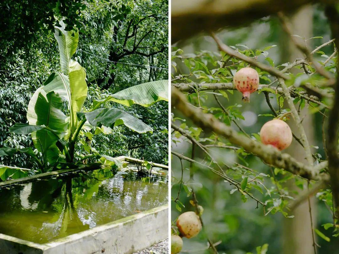 最新式牛棚，小巷深處的隱秘寶地