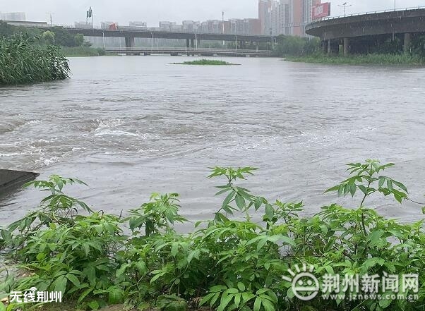 湖北荊州汛情最新更新 ??防汛動態(tài)速遞