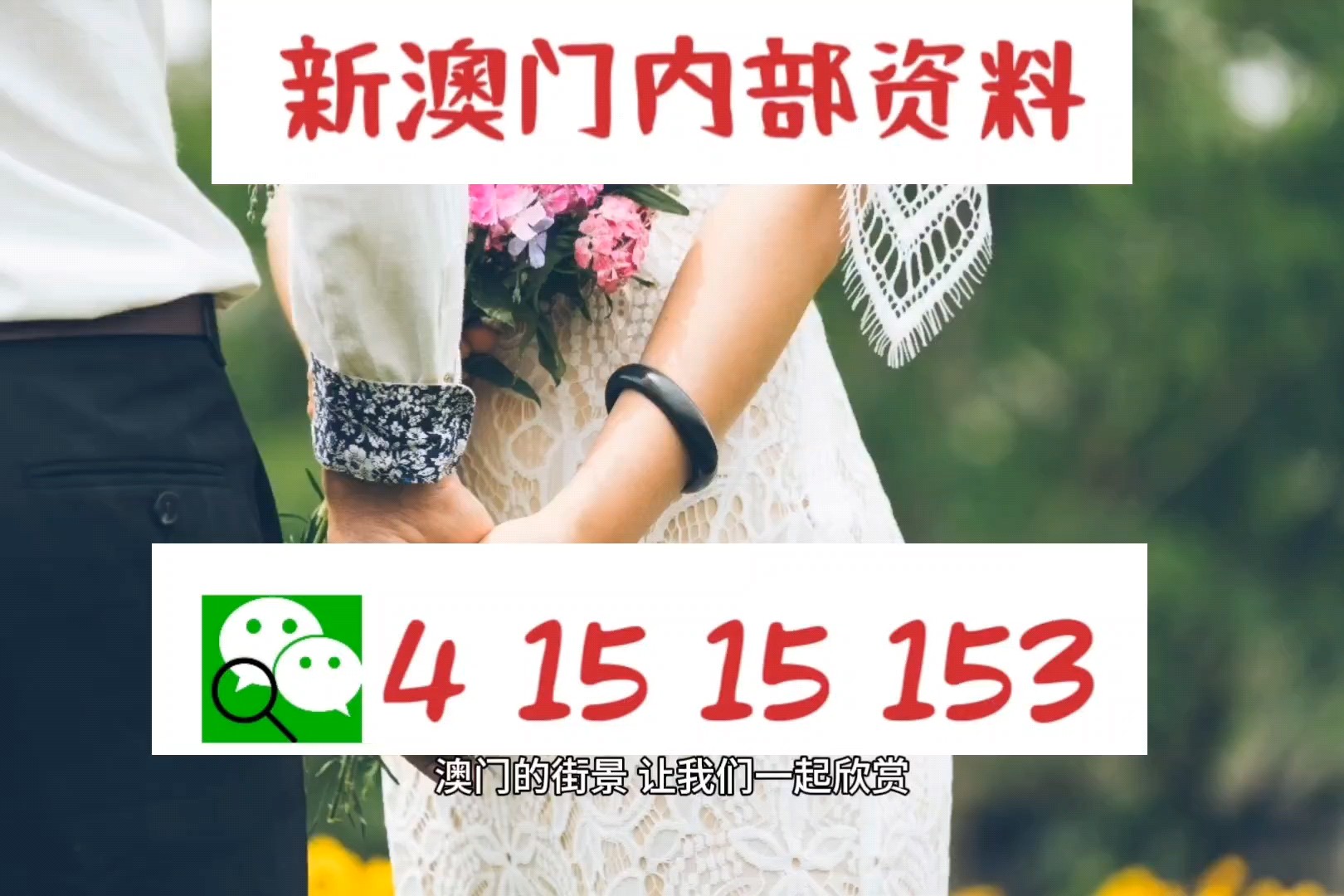 今晚澳門特馬開的什么,快速問題解答_多功能版96.209