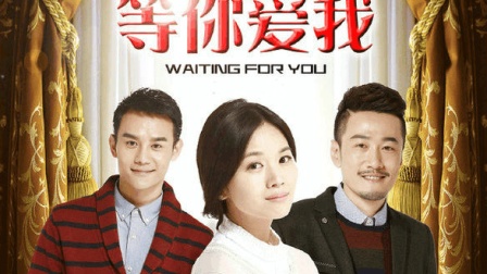 電視劇蜂鳥演員表及其深遠影響力