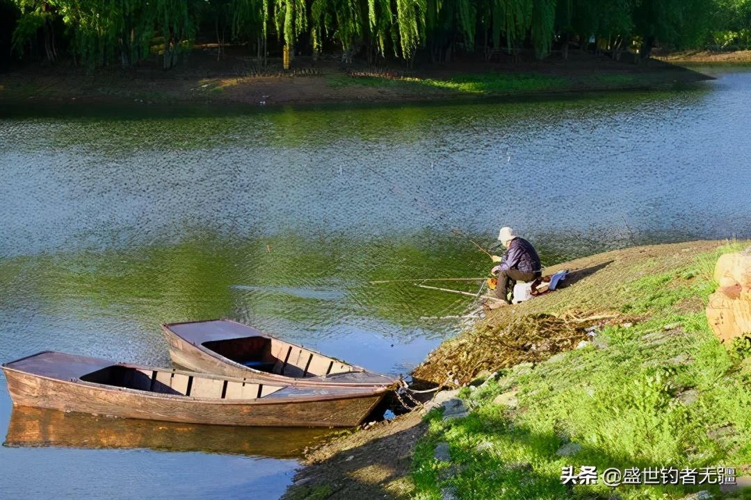 最新鰱鳙釣法技巧與策略揭秘