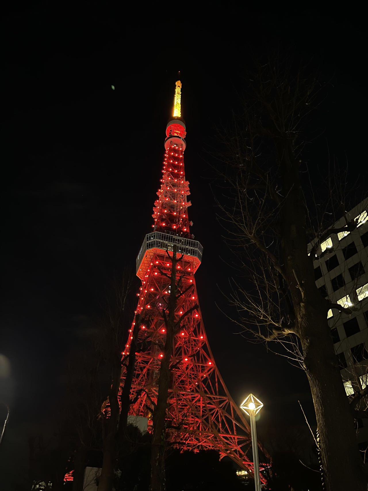 名古屋電視塔，知識之巔，成就與自信的閃耀之光