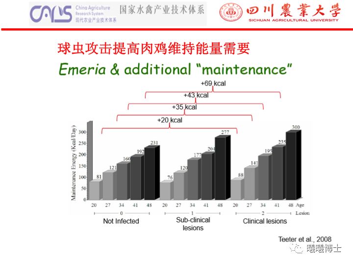 澳門一碼一肖一特一中直播結(jié)果,執(zhí)行機制評估_多媒體版67.815