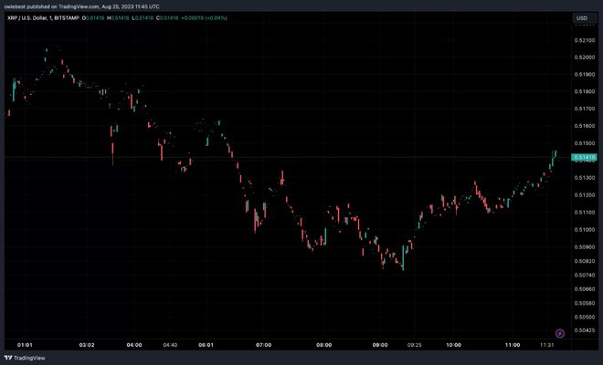 ripple幣行情,ripple幣行情——探索數(shù)字貨幣世界的自信之旅