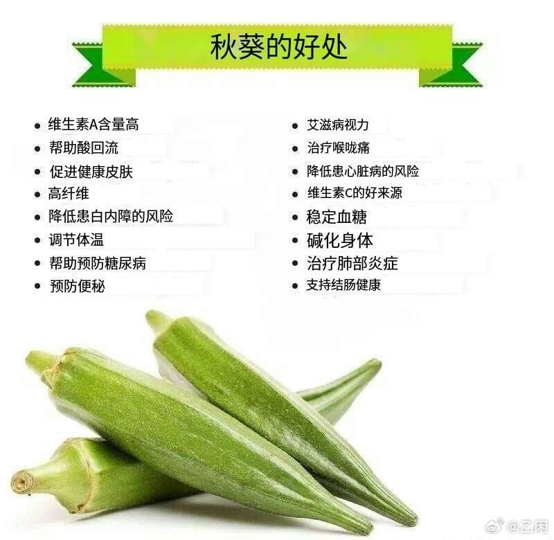 秋葵資訊平臺,秋葵資訊平臺，時代背景下的資訊新勢力