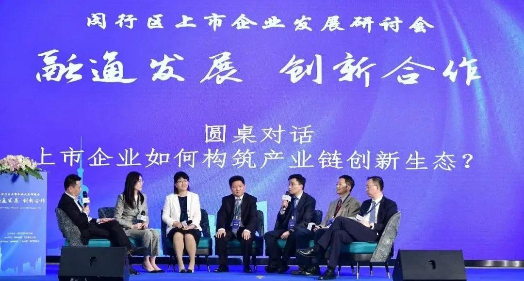 企業(yè)上市之路，問題解析與策略探討