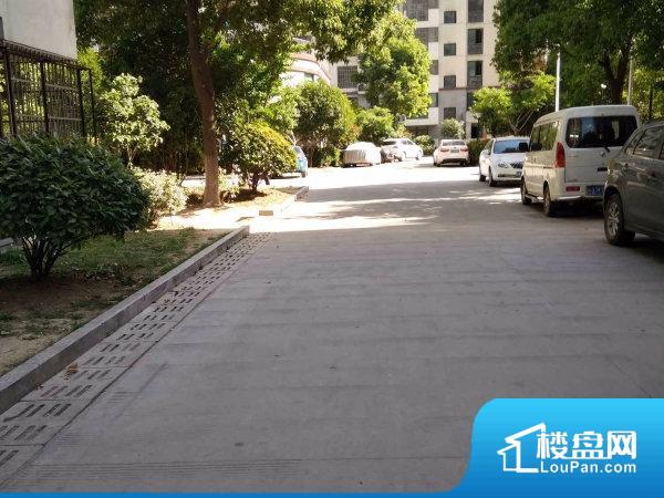 合肥萊茵河畔最新房價動態(tài)及分析