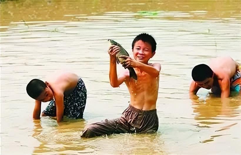 流淚的魚最新作品，夢幻藝術(shù)之旅啟程