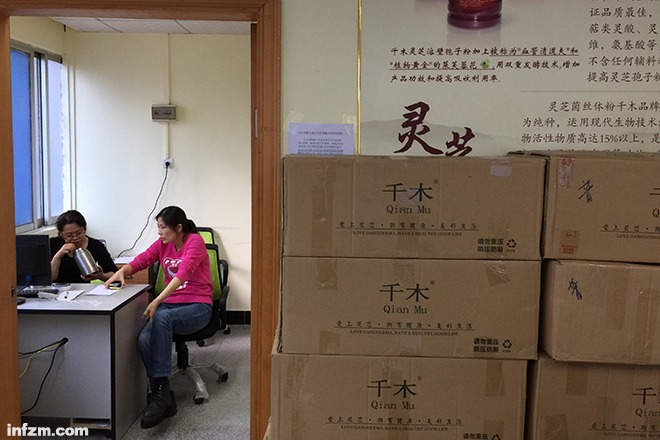 千木靈芝最新報道視頻，自然美景探索之旅，心靈平靜之旅的啟示
