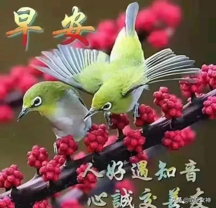 早安問候語最新，小巷深處的獨特味道